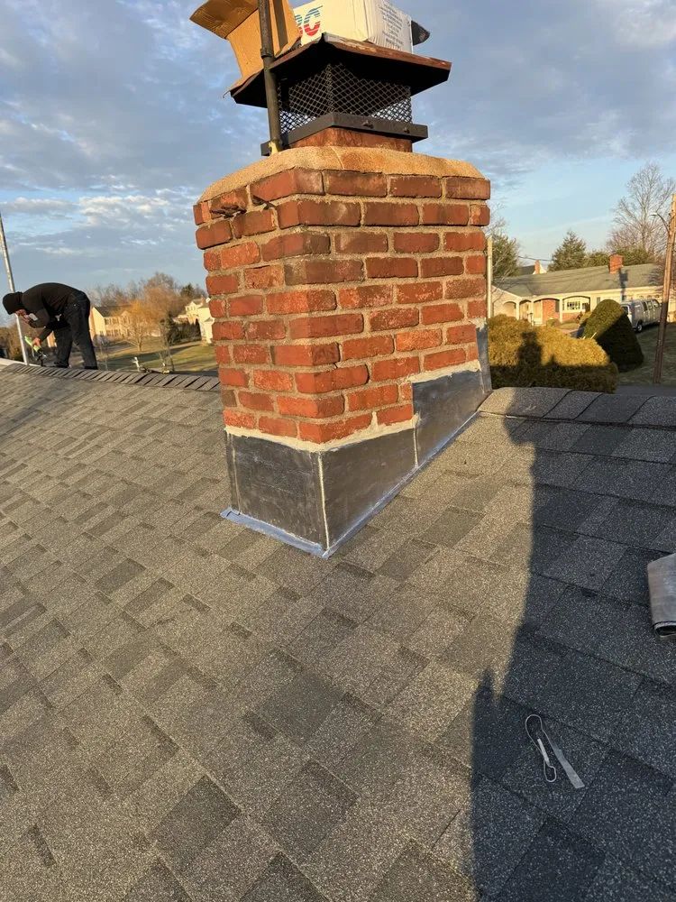 Slide of Construction Mutants