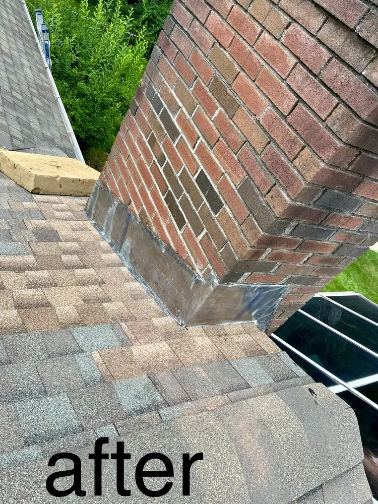 Slide of Construction Mutants