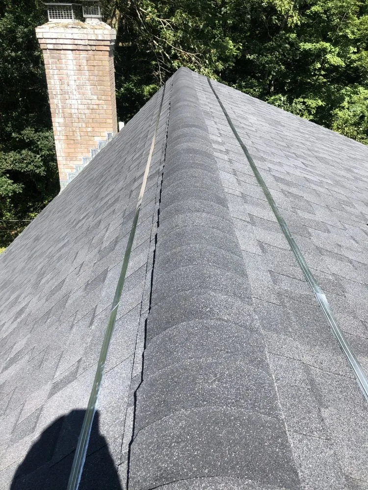 Slide of Construction Mutants