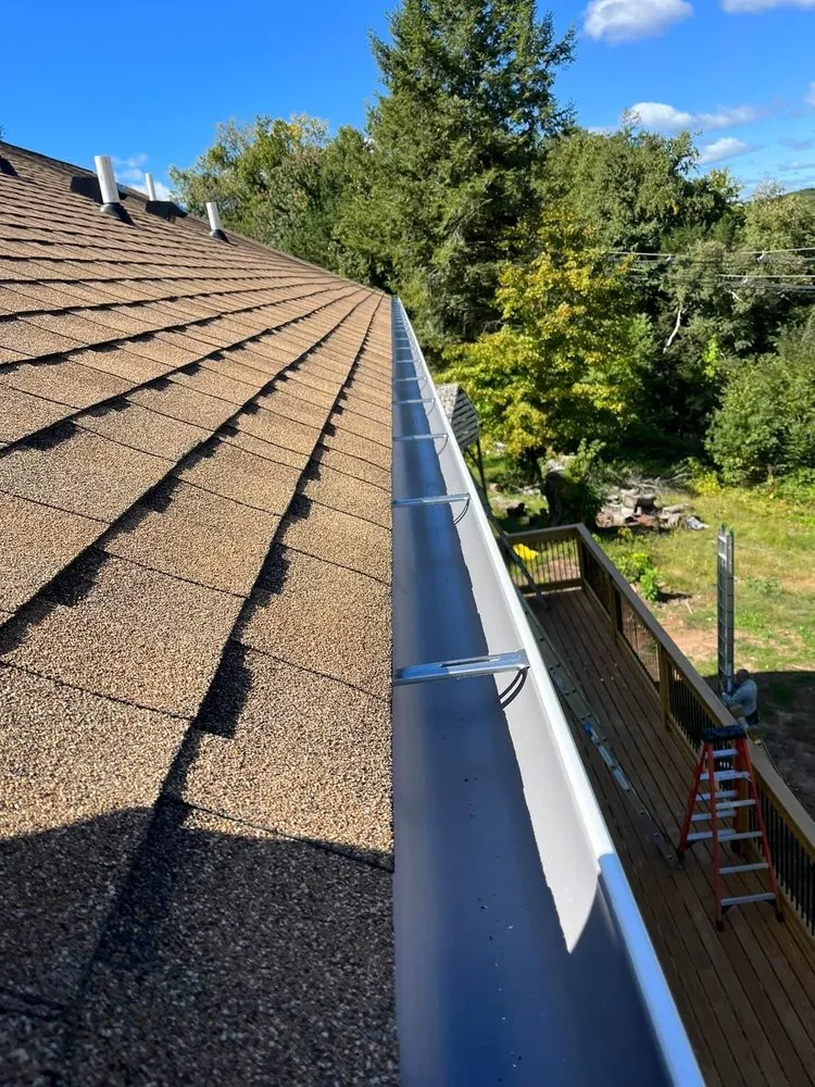 Slide of Construction Mutants