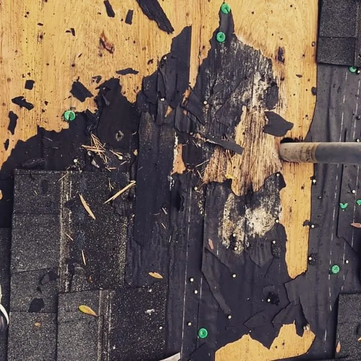 Top-rated roof repair experts serving Johns Island, SC - Construction of the Southeast