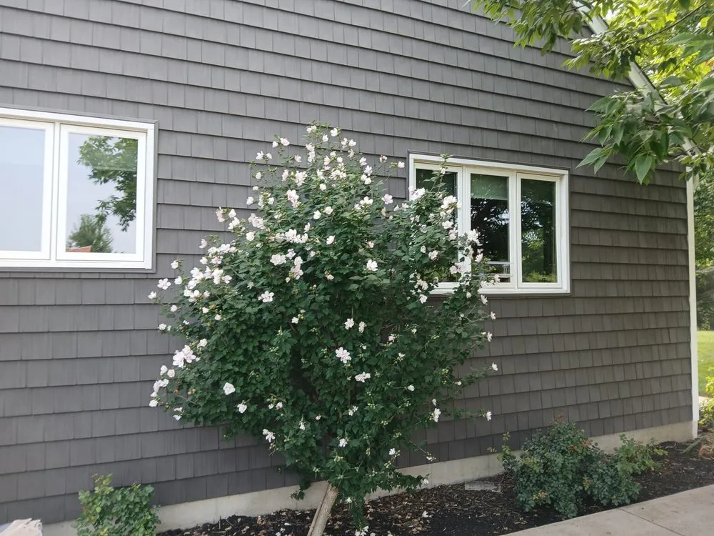 Slide of Conte Pro-Remodel