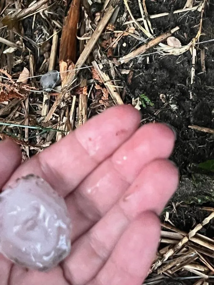 Slide of Contemporary Exteriors