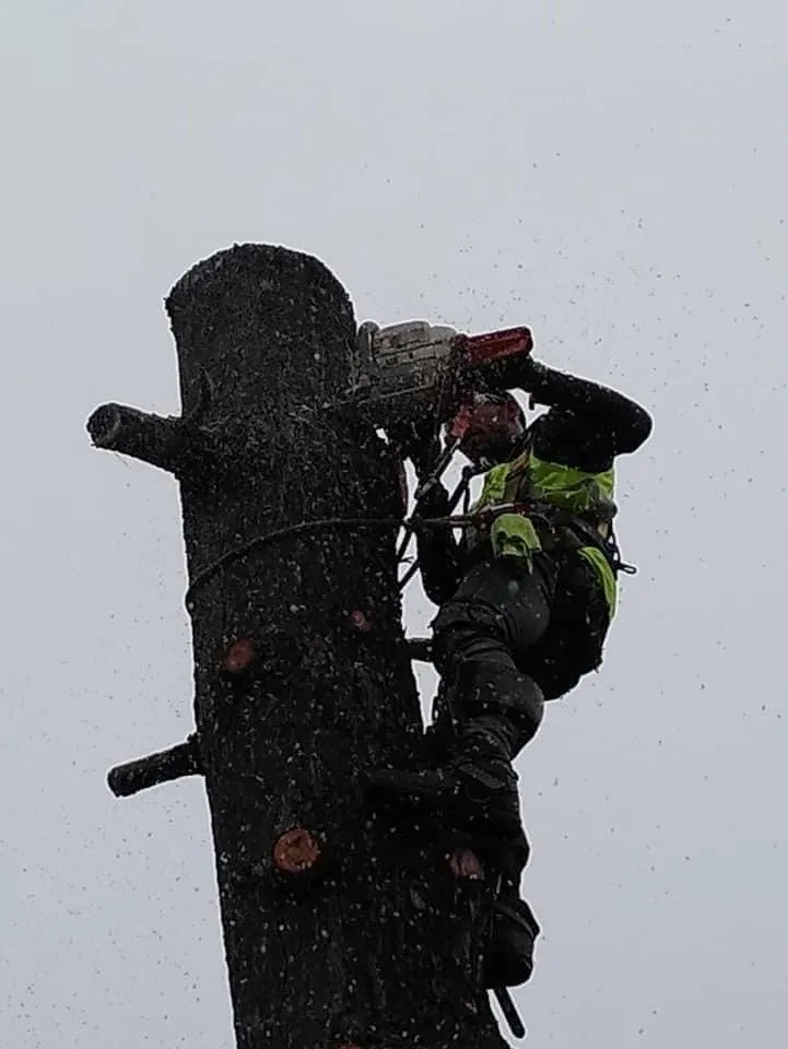 Slide of Contractors Alchemist