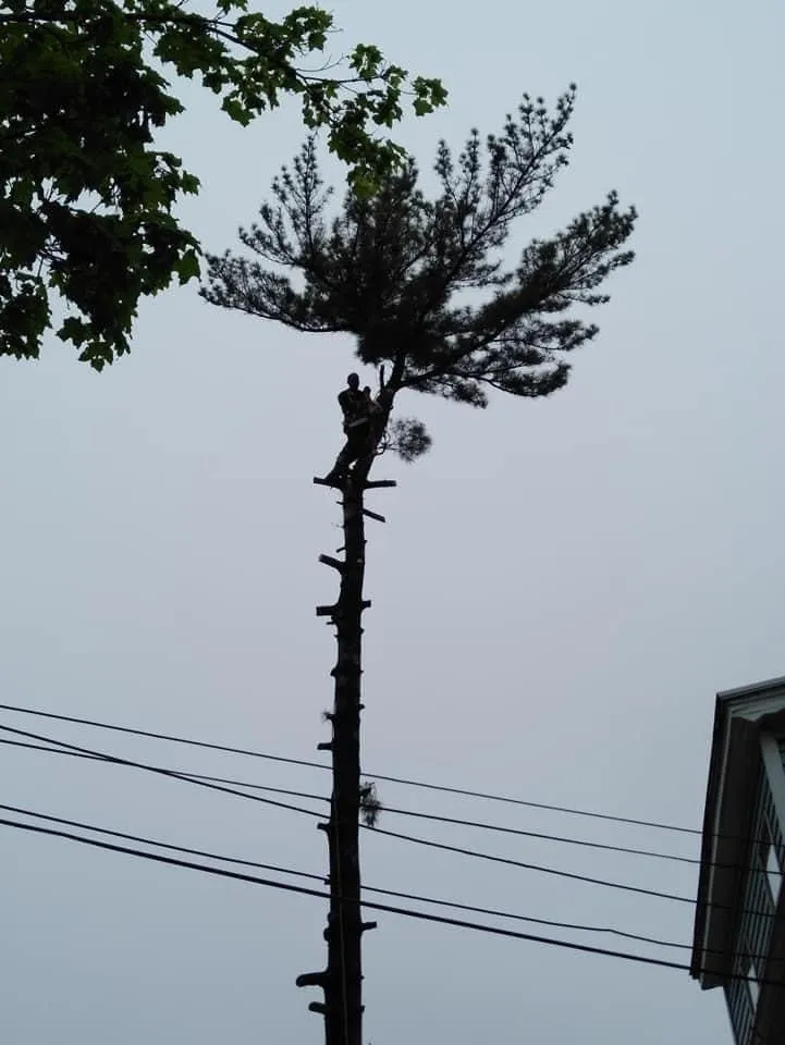 Slide of Contractors Alchemist