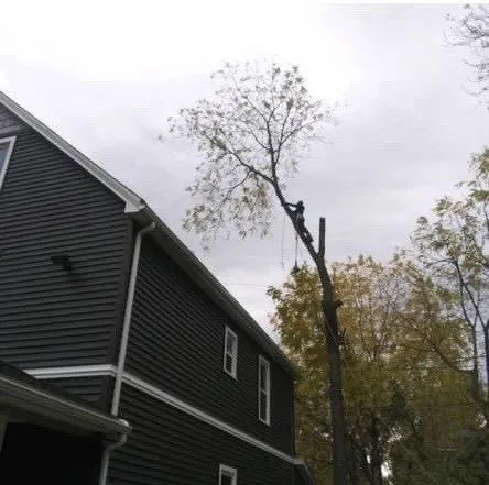 Slide of Contractors Alchemist