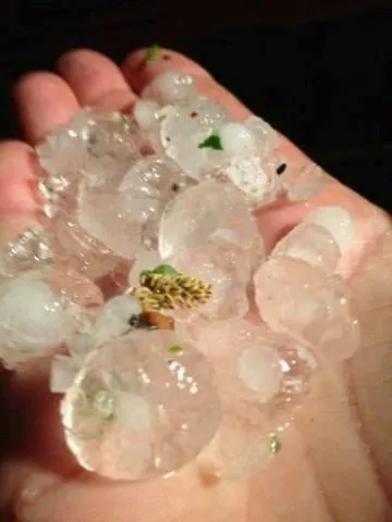 Slide of Contractors Plus