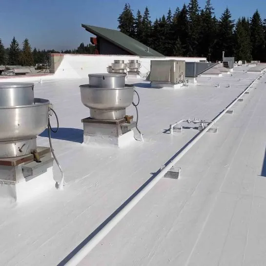 Slide of Cool Roof and Asphalt Coating