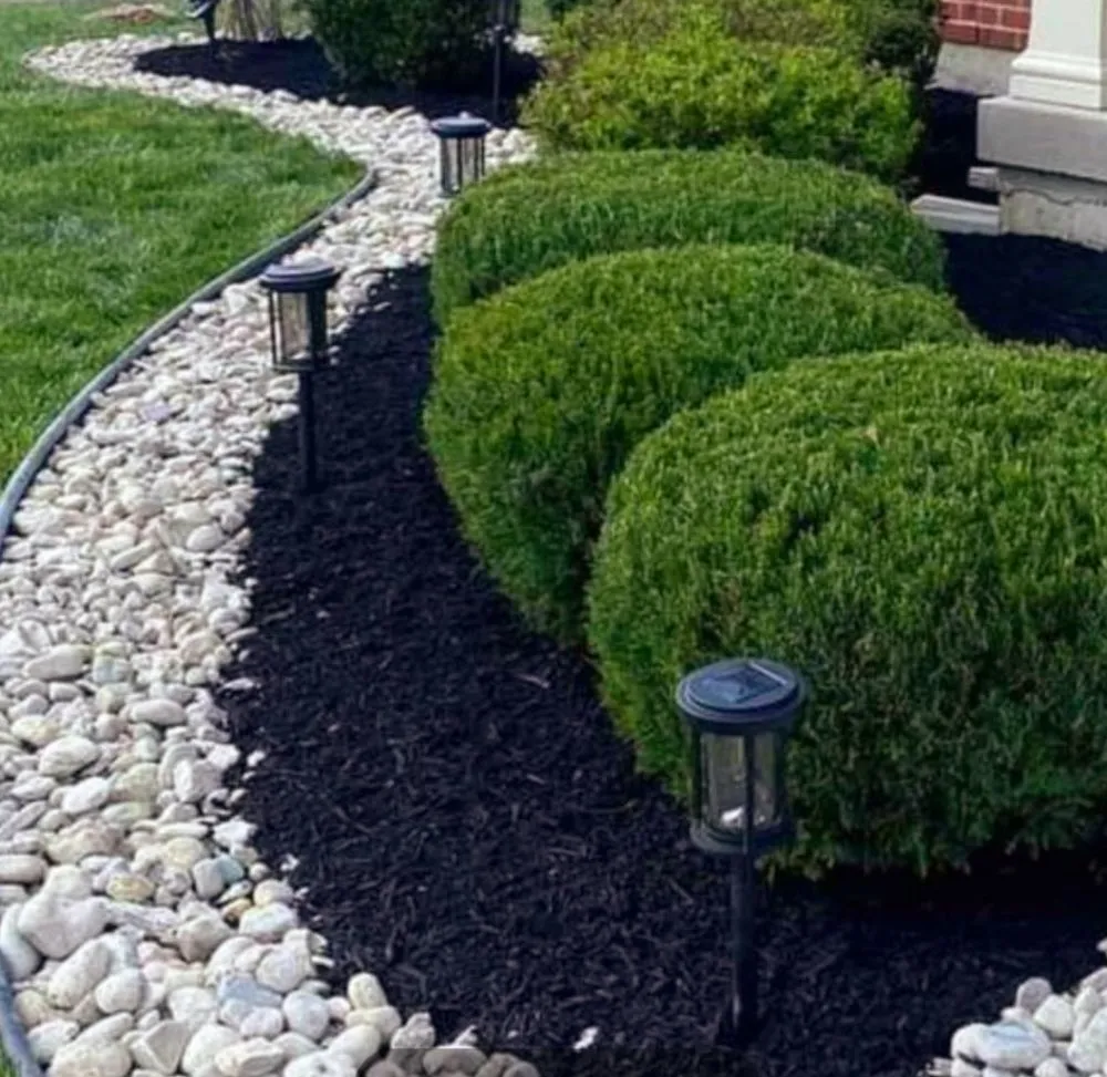 Slide of Copesetic Services