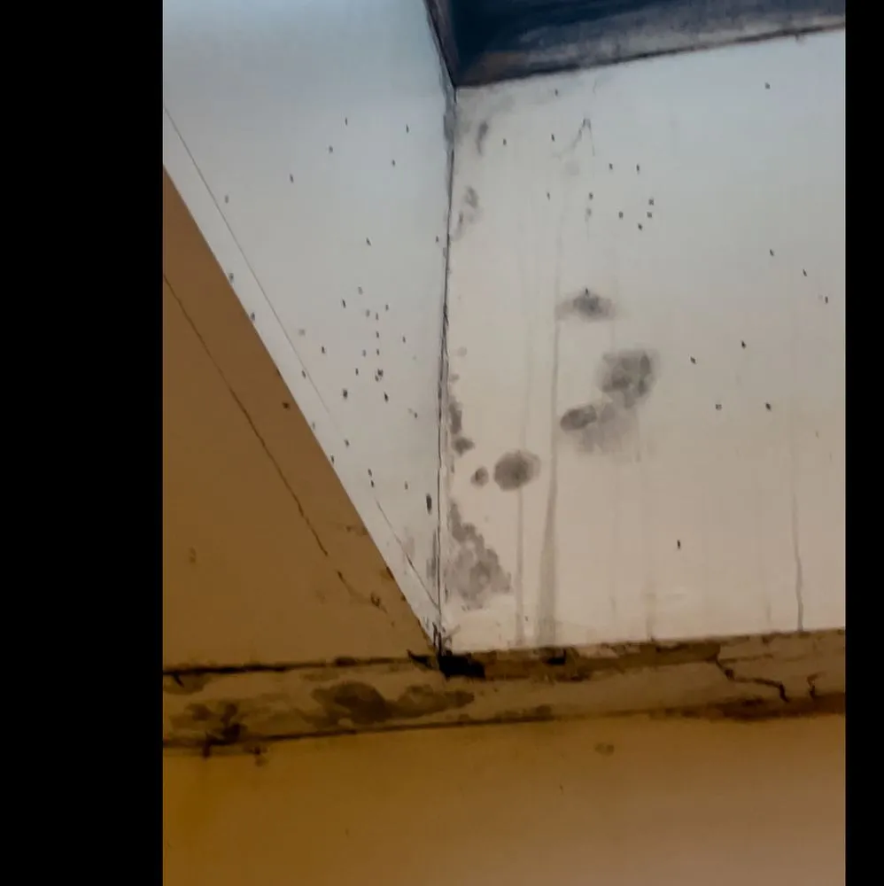 Slide of Cornerstone Restoration