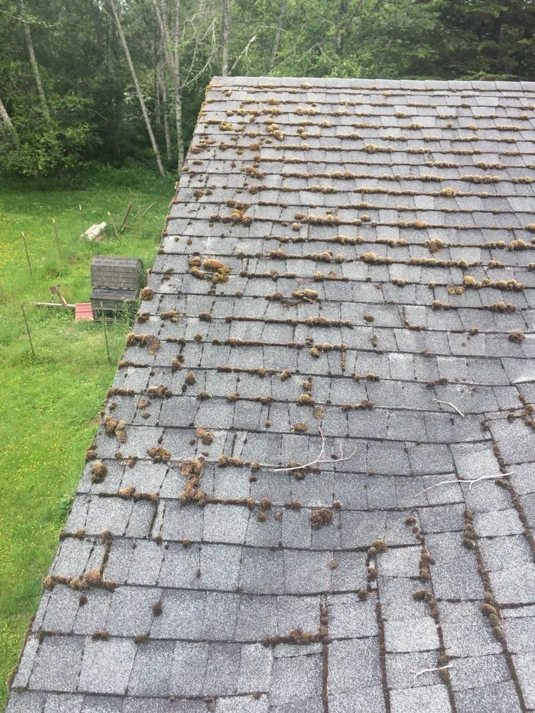 Slide of Corradini LLC Roof Restoration & Exteriors