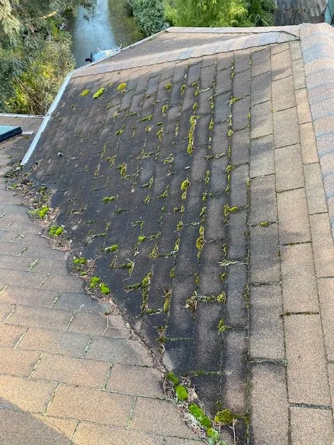 Slide of Corradini LLC Roof Restoration & Exteriors