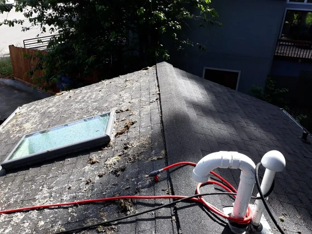 Slide of Corradini LLC Roof Restoration & Exteriors