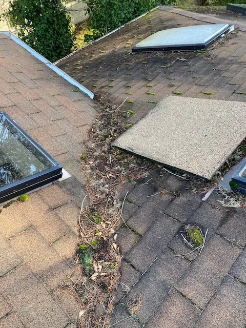 Slide of Corradini LLC Roof Restoration & Exteriors