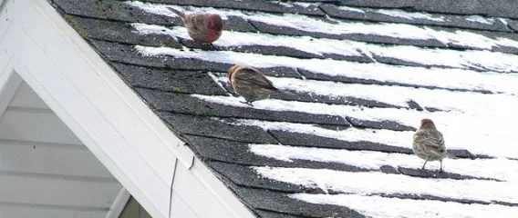 Slide of Corridor Contracting