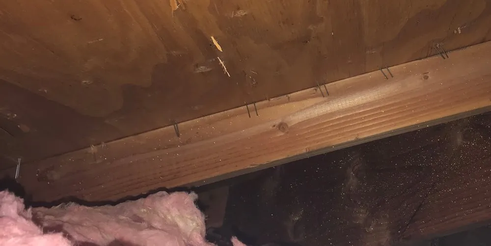 Slide of Cosmos Roofing