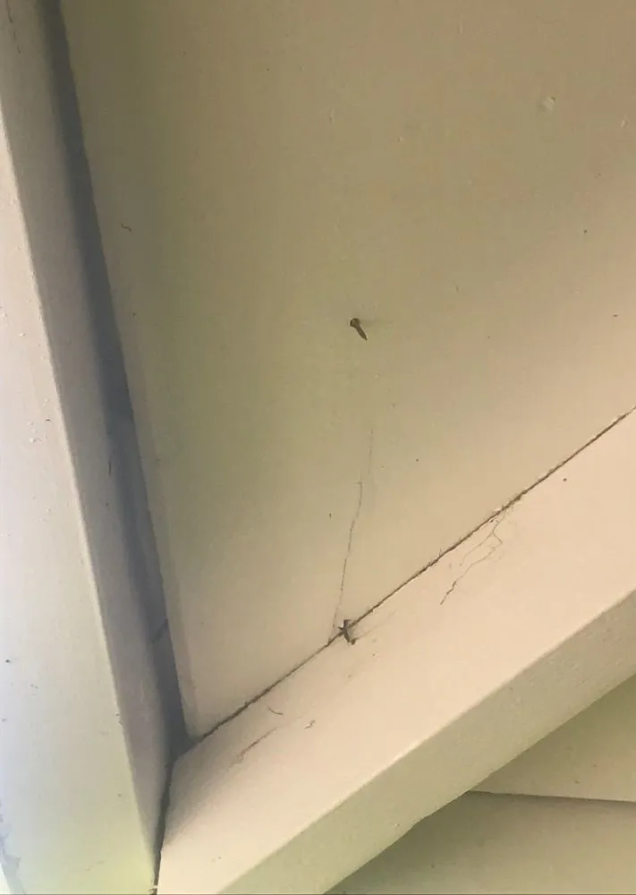 Slide of Cosmos Roofing