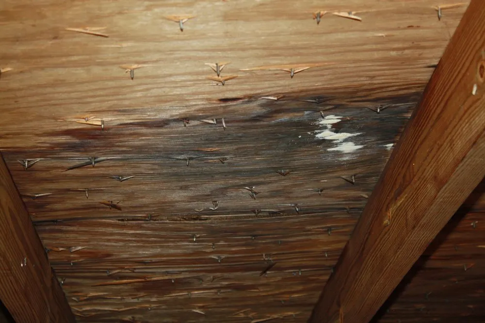 Slide of Coulson Roofing & Sheet Metal Contracting