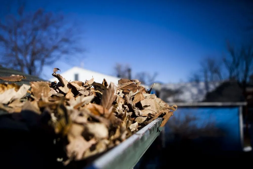 Slide of Country Doctor Lawn & House Care