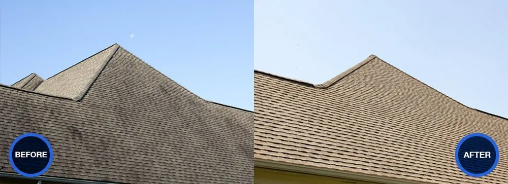 Slide of Country Doctor Lawn & House Care