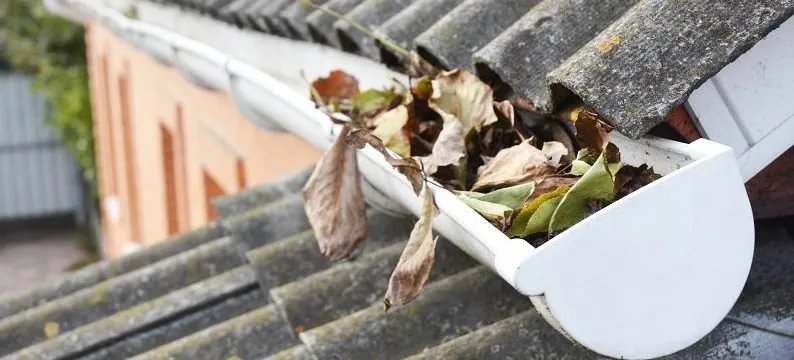 Slide of Country Doctor Lawn & House Care