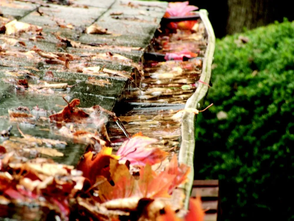 Slide of Country Doctor Lawn & House Care