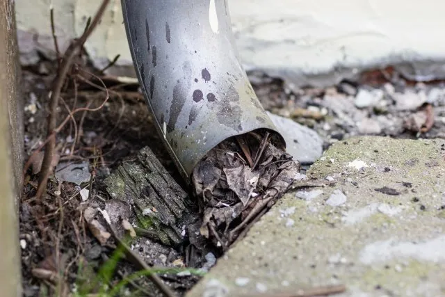 Slide of Country Doctor Lawn & House Care