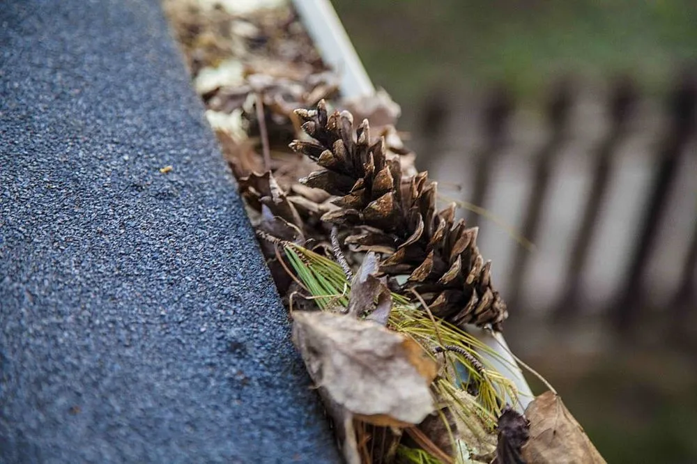 Slide of Country Doctor Lawn & House Care