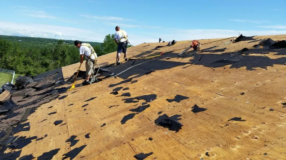 Slide of Cousins Restoration