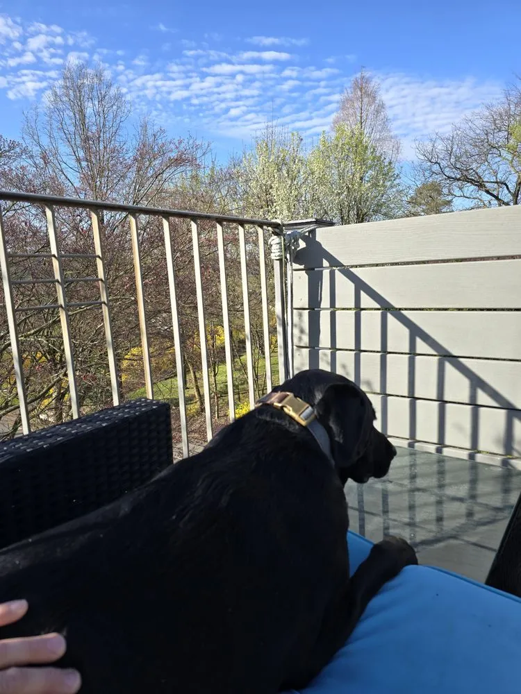 Slide of Covert Construction Services