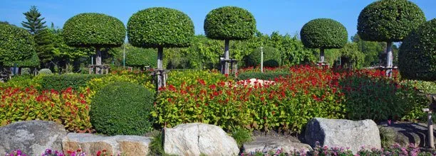 Slide of Coyote Builders