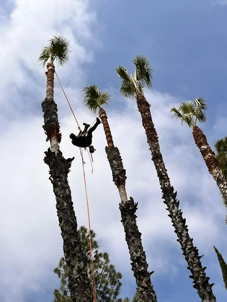 Slide of Cr-b Handyman