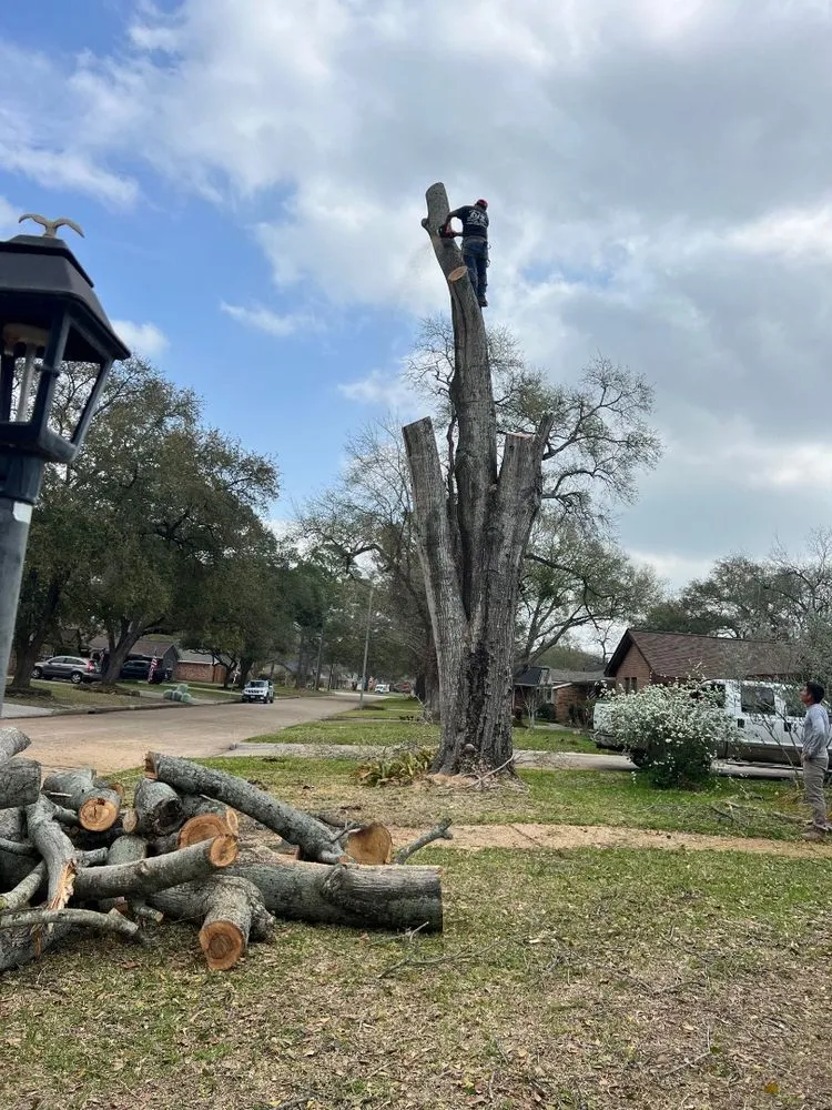 Slide of Cr-b Handyman