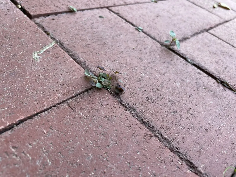 Slide of Craftsman Roofing and Masonry