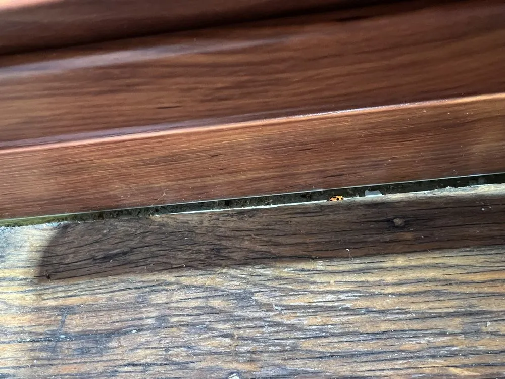 Slide of Cramer Siding & Window