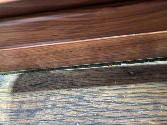 Cramer Siding & Window