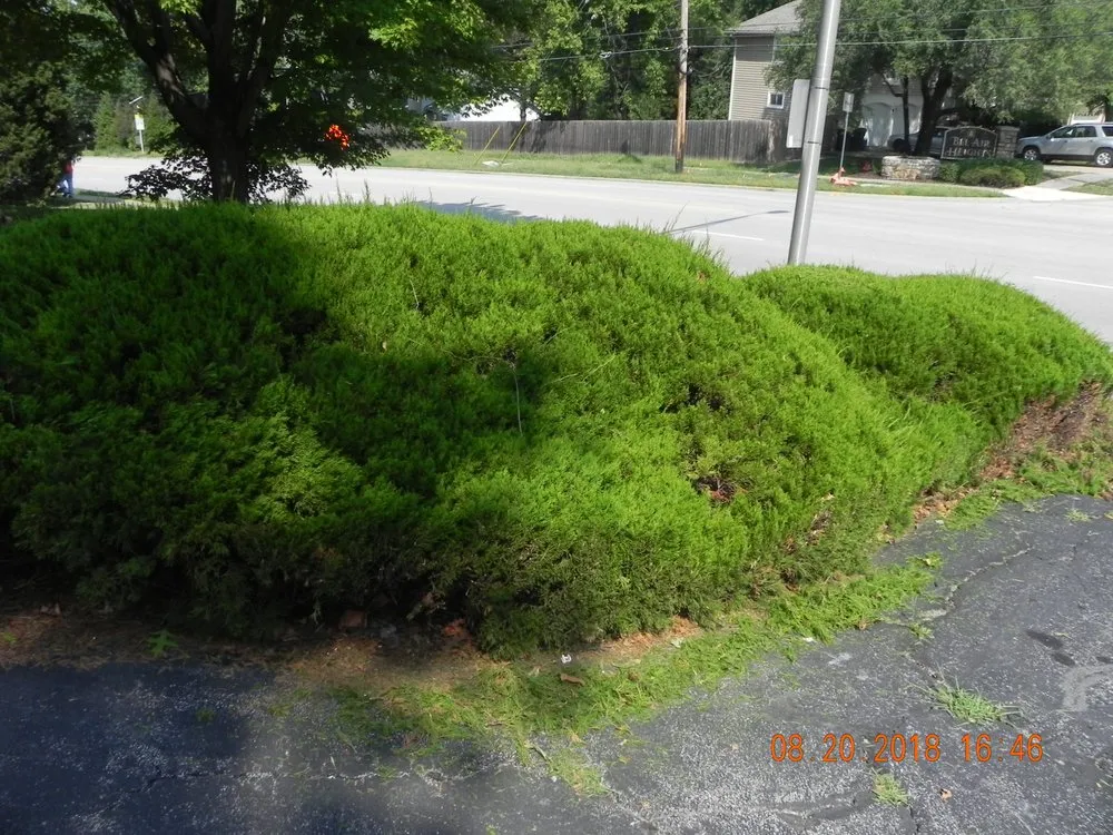 Slide of Creative Property Maintenance