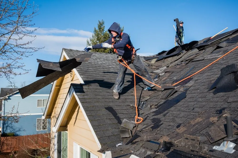 Slide of Crib Top Roofing