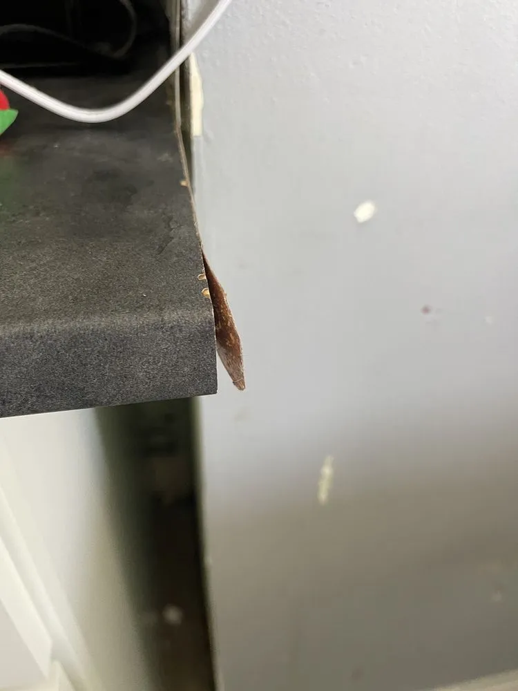 Slide of Crimson Design & Construction