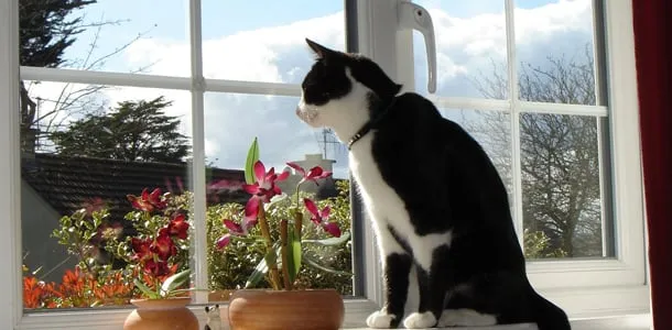 Slide of Crone Construction