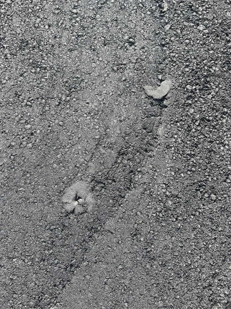 Slide of Cross Island Paving and Masonry