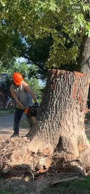 Cross Timbers Tree Service Logo