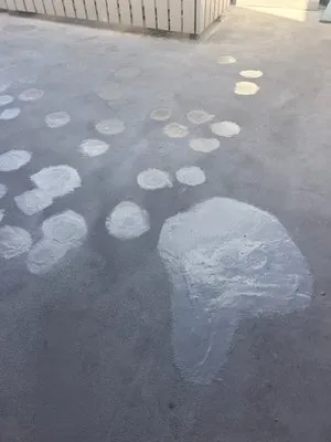 Crown Roofing & Waterproofing Logo