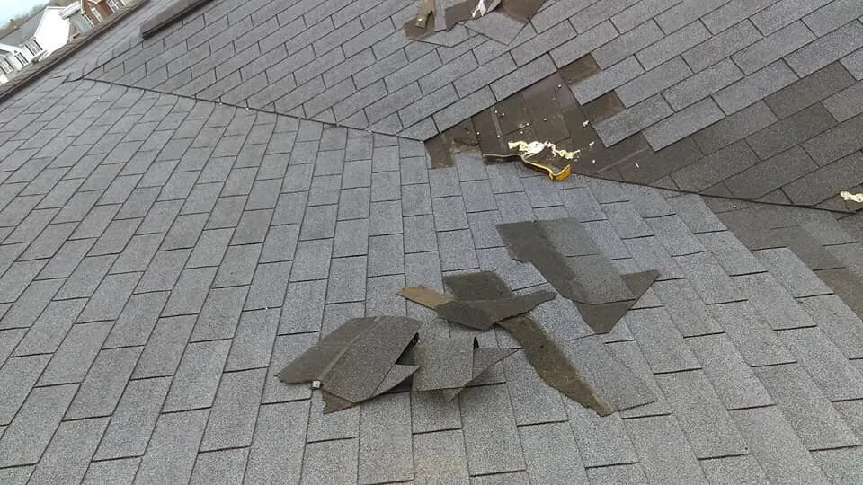 Slide of Cruz Enterprise And Roofing