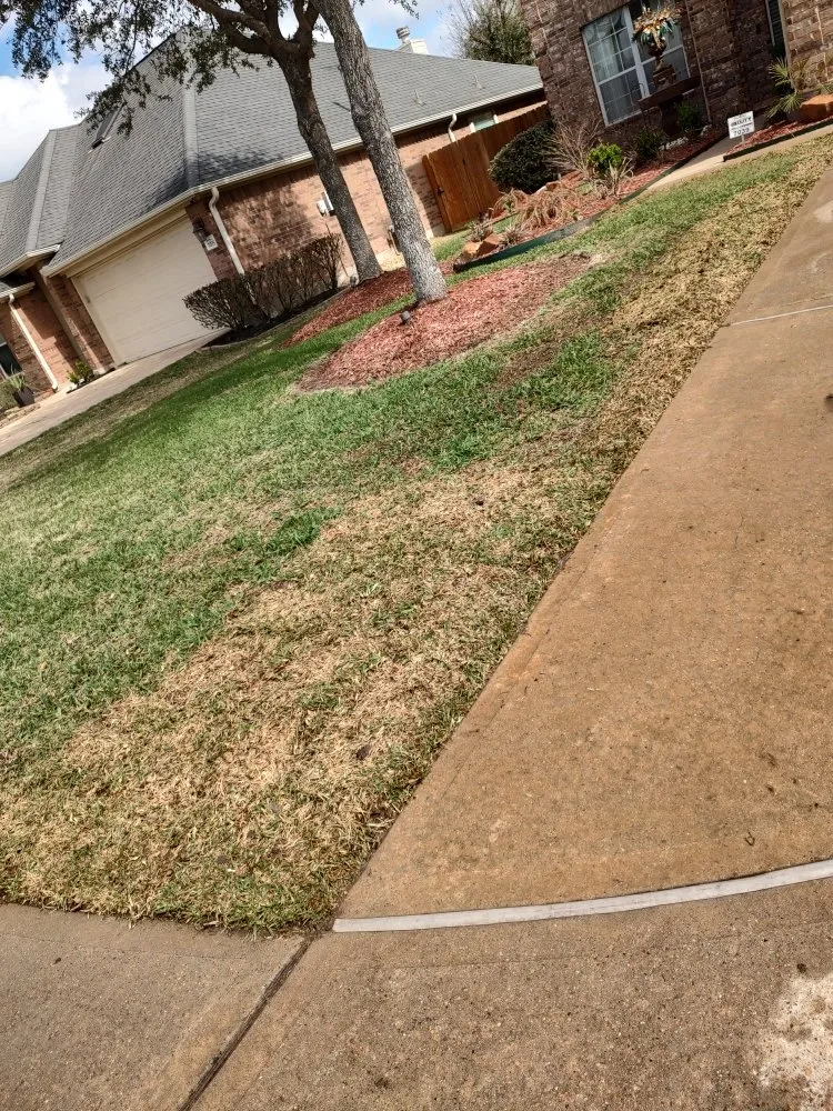 Slide of Cruz Landscape And More