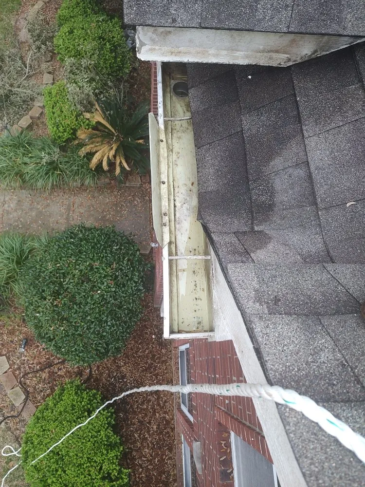 Slide of Cruz Landscape And More