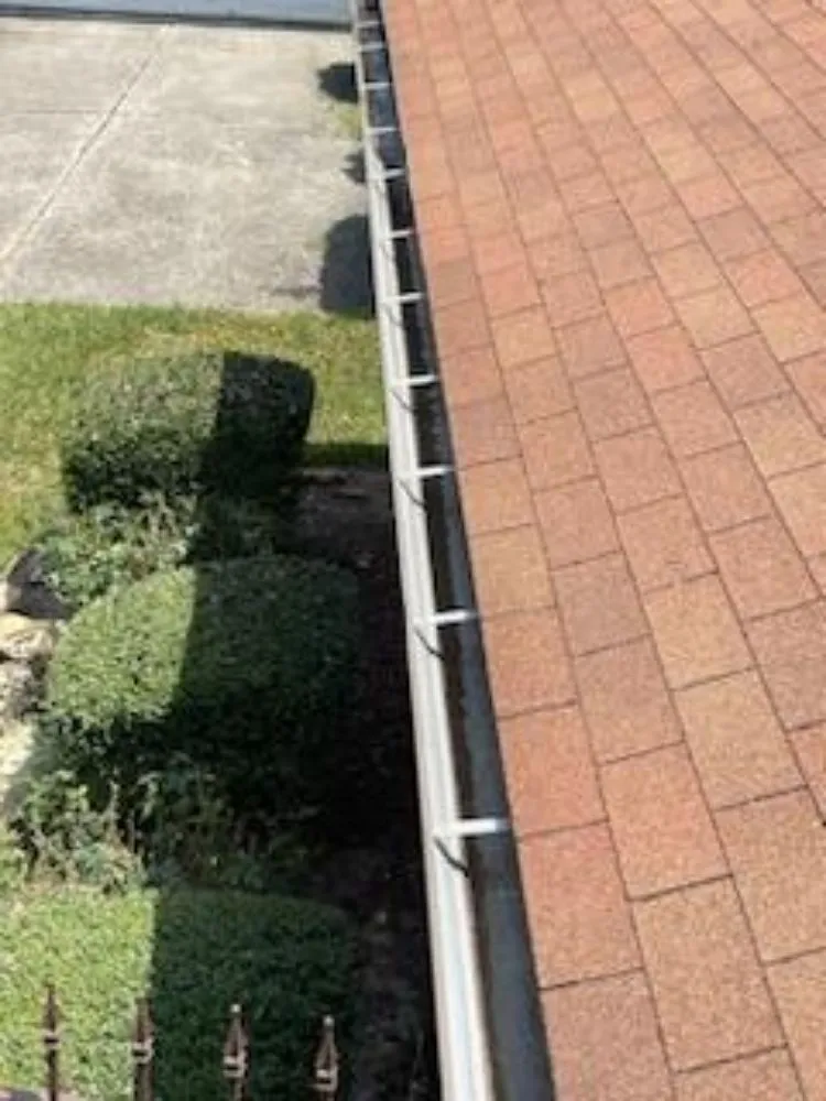 Slide of Cruz Landscape And More