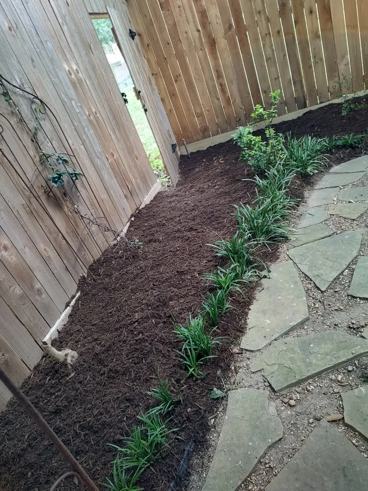 Slide of Cruz Landscape And More