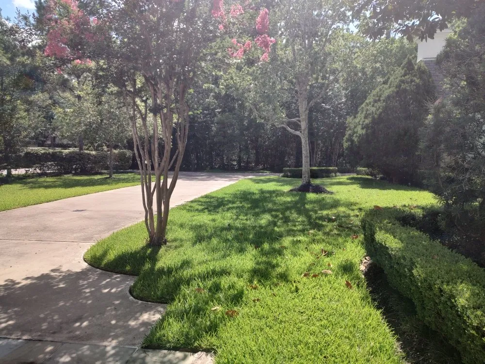 Slide of Cruz Landscape And More