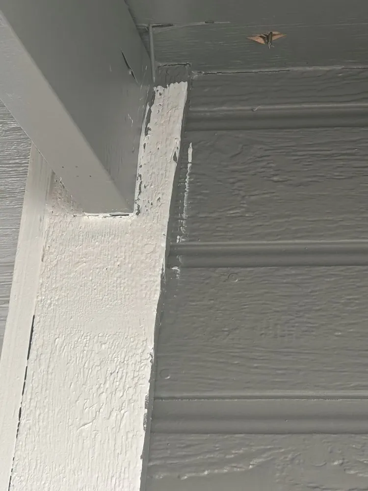 Slide of Cruz Services